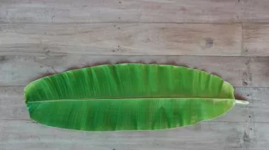 plating-instructions-image